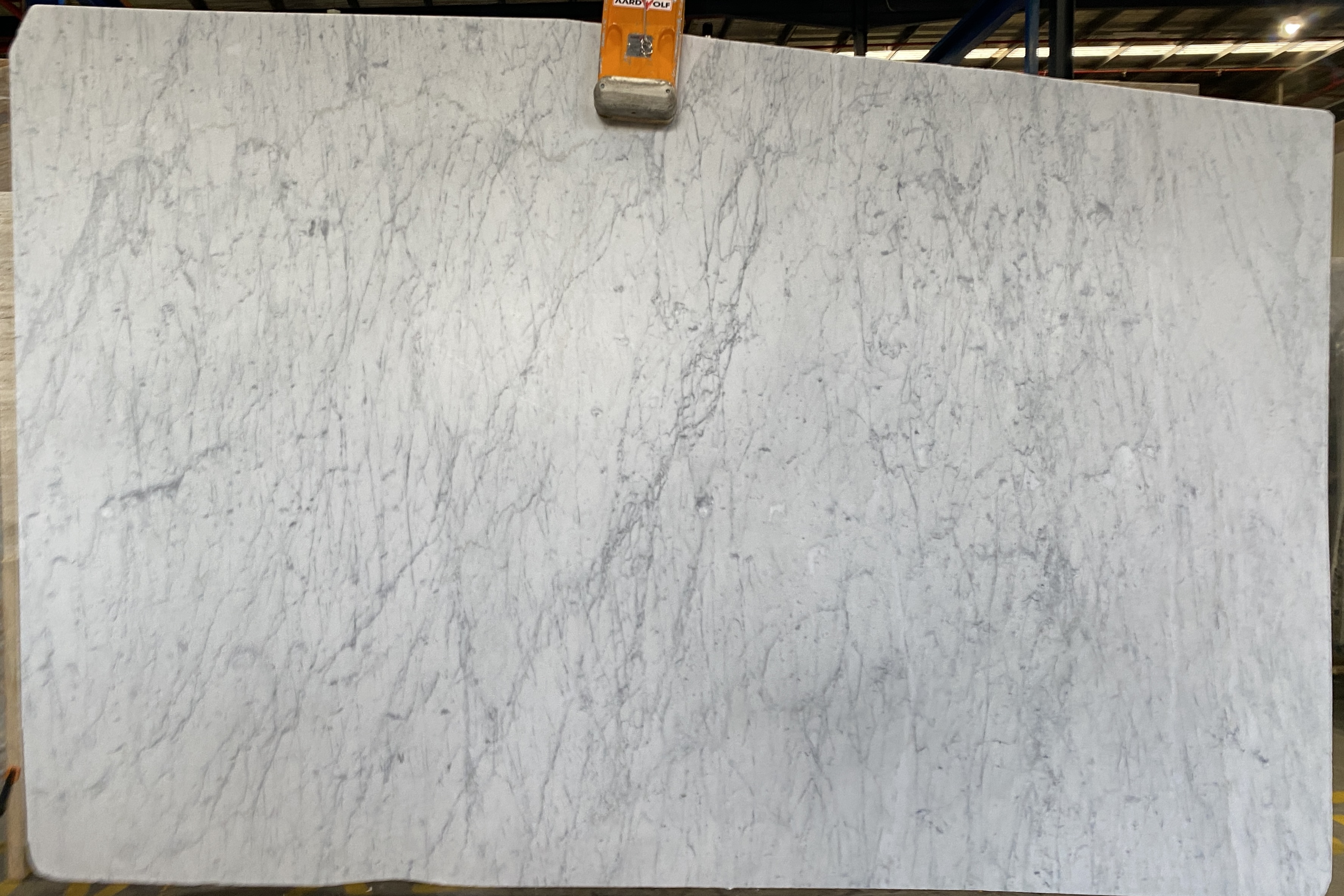 syd - Carrara  - Slab No. 729R- 3000x1800.jpeg